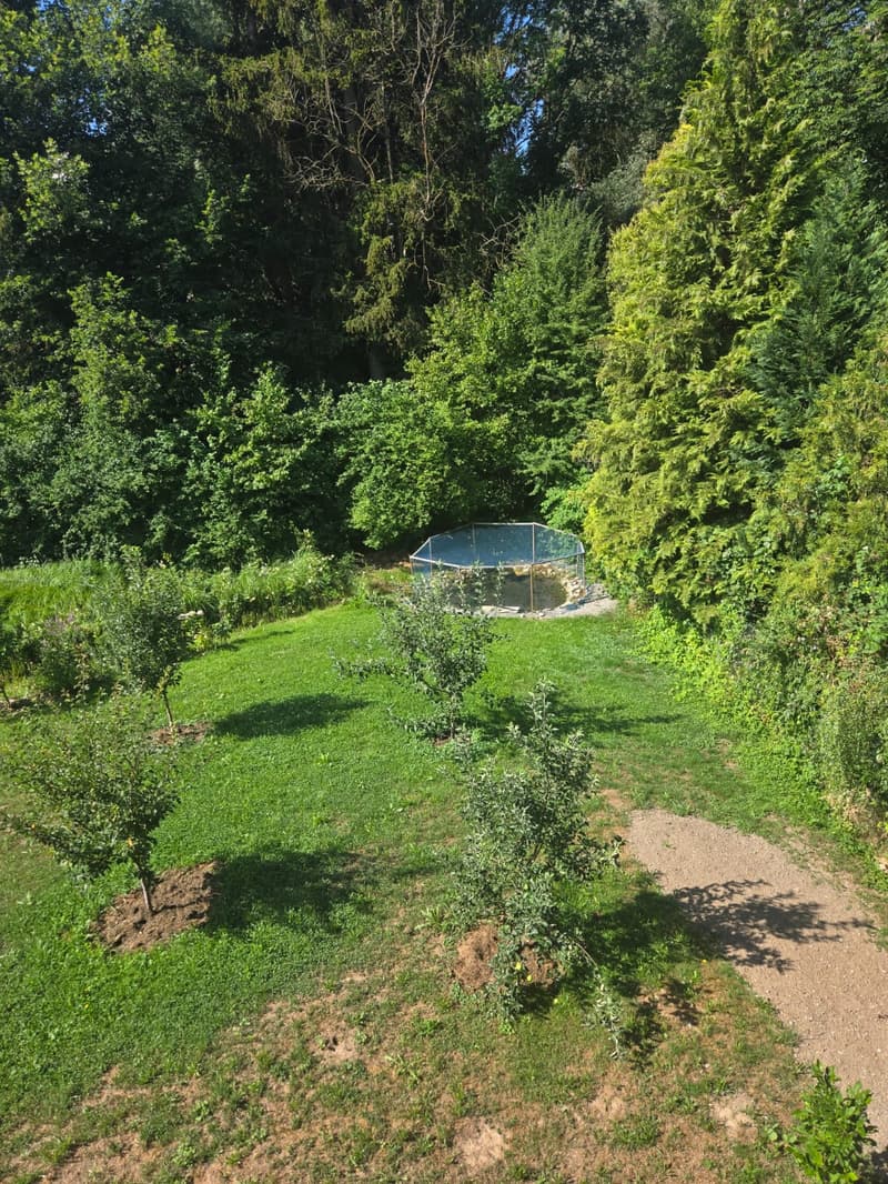Charmante 4.5-Zimmerwohnung im Erdgeschoss in Düdingen (2)