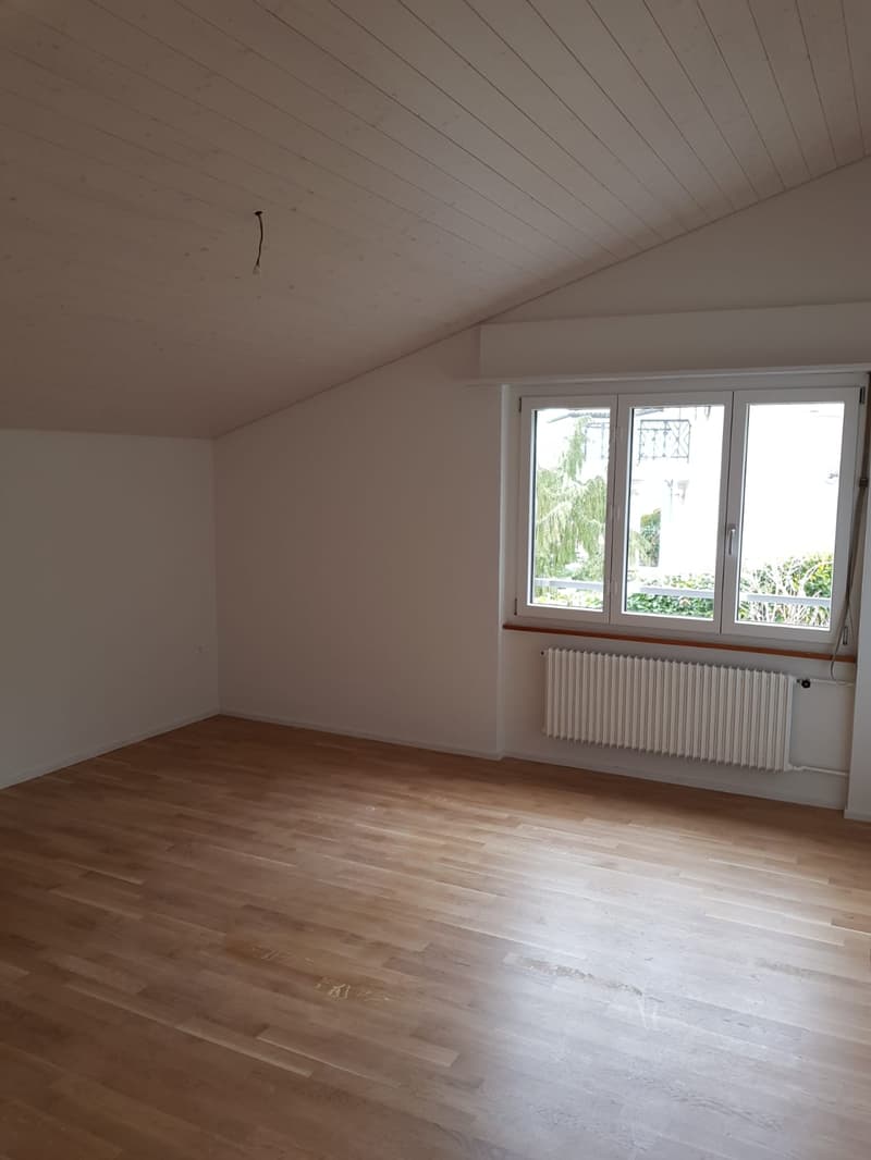 Grosszügiges 4.5-Zimmer-Doppel-Einfamilienhaus in ruhigem Quartier (14)