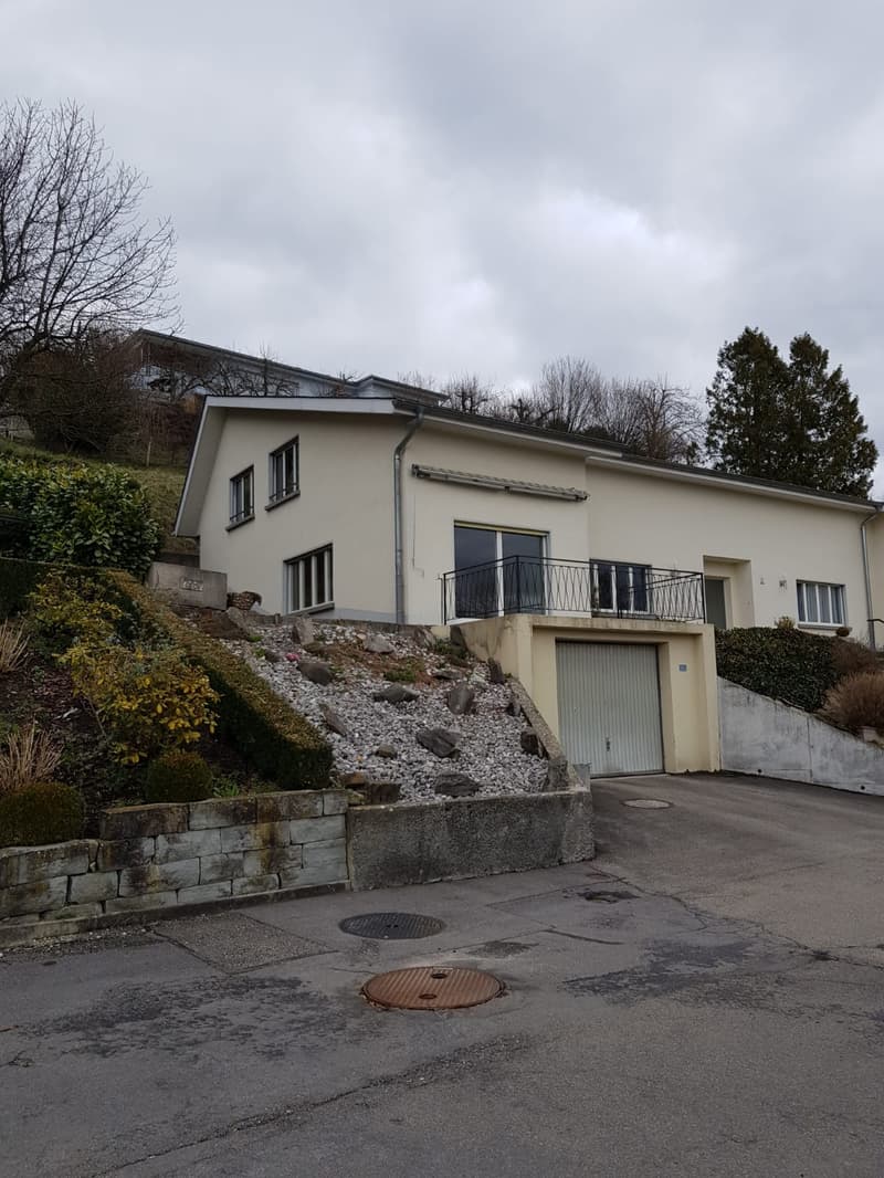 Grosszügiges 4.5-Zimmer-Doppel-Einfamilienhaus in ruhigem Quartier (3)