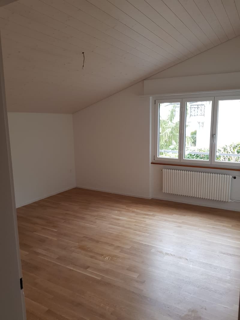 Grosszügiges 4.5-Zimmer-Doppel-Einfamilienhaus in ruhigem Quartier (11)