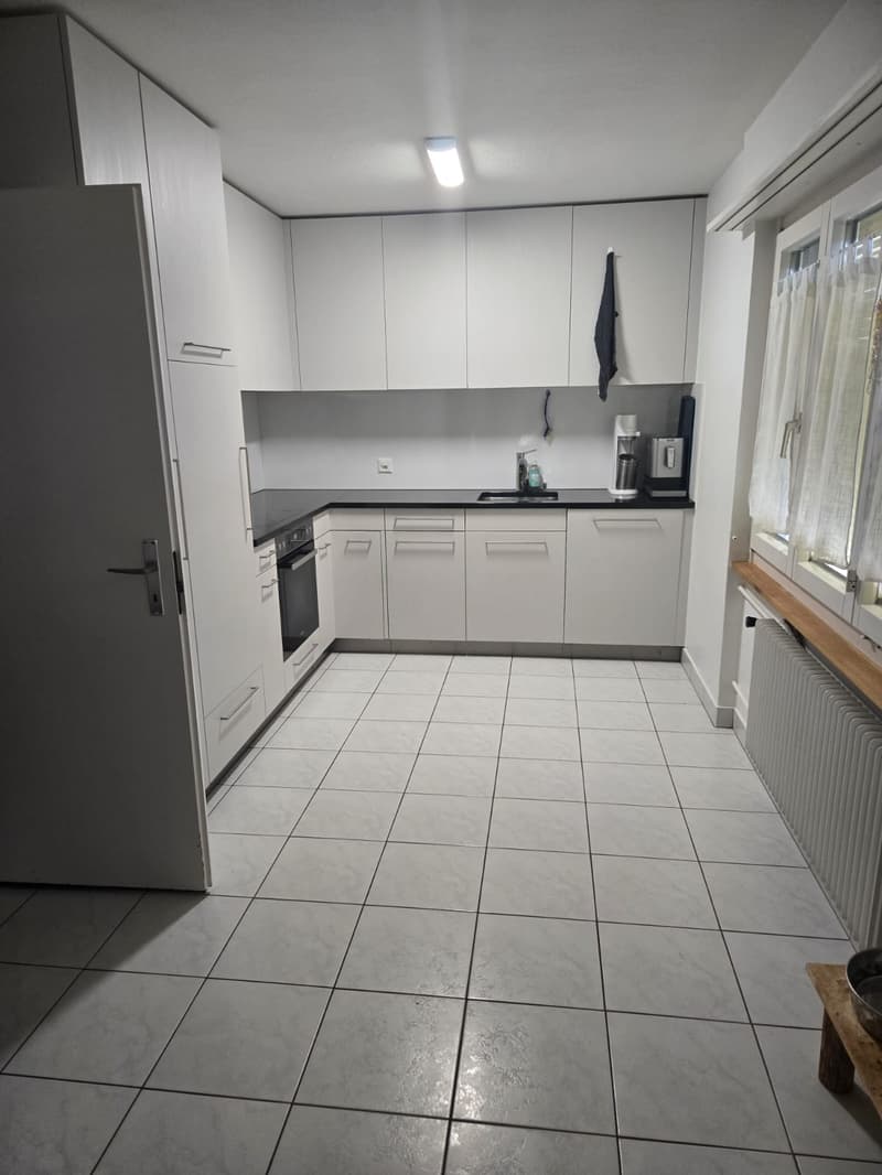 Grosszügiges 4.5-Zimmer-Doppel-Einfamilienhaus in ruhigem Quartier (8)