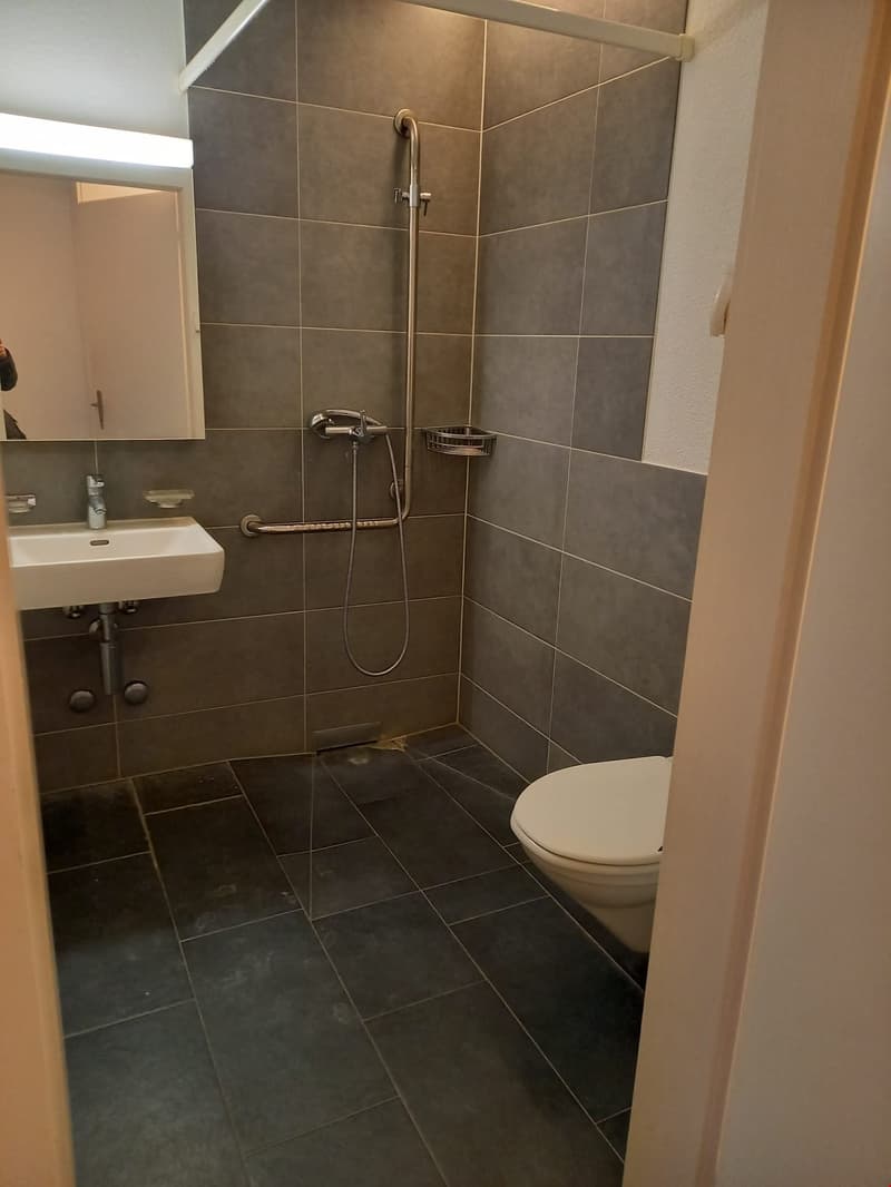 1 1/2 Zimmerwohnung an ruhiger Lage (3)