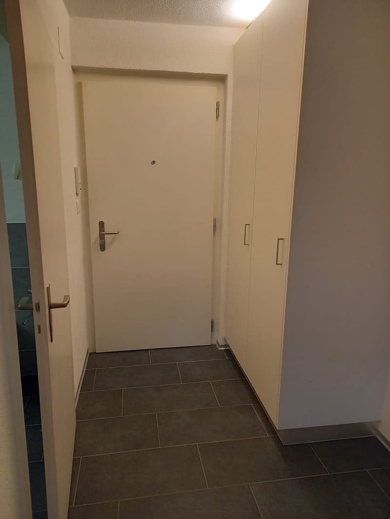 1 1/2 Zimmerwohnung an ruhiger Lage (2)