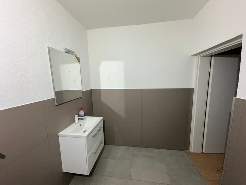 Charmante 2.5-Zimmer-Wohnung mitten in Aarwangen (5)