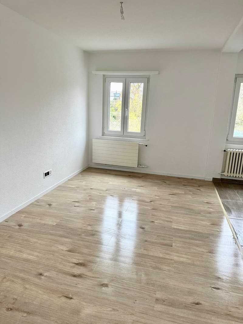 Helle, sanierte 3.5-Zimmerwohnung an zentraler Lage zu vermieten (6)