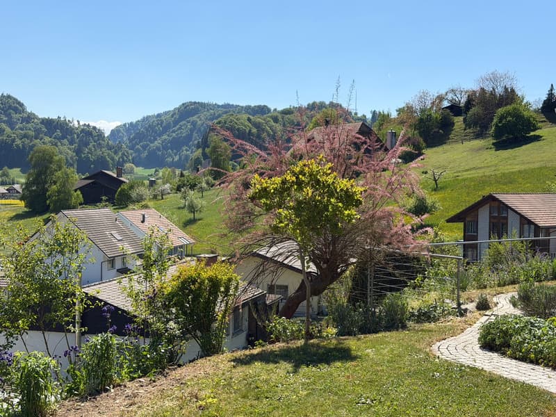 Gepflegtes Einfamilienhaus in ruhiger Lage in Krauchthal (3)