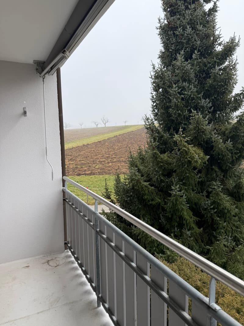 Wir vermieten zwei schöne Wohnungen in Koppigen an ruhiger Lage mit Weitsicht (10)