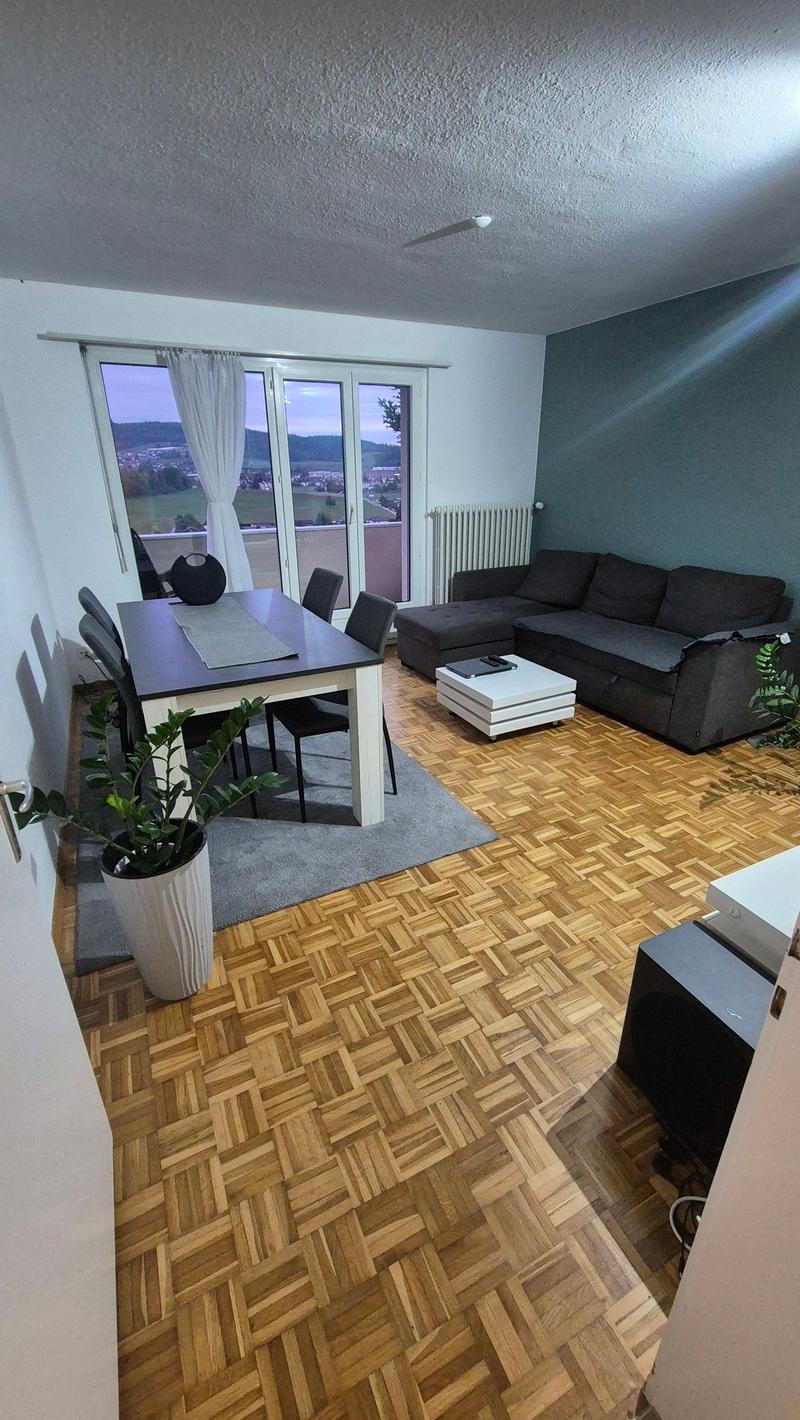 Helle 4.5-Zimmer-Erdgeschosswohnung mit Balkon in Dottikon (2)