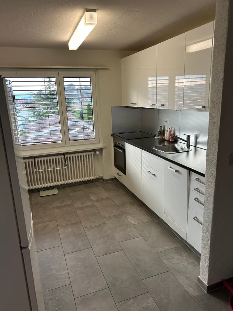Helle 4.5-Zimmer-Erdgeschosswohnung mit Balkon in Dottikon (4)