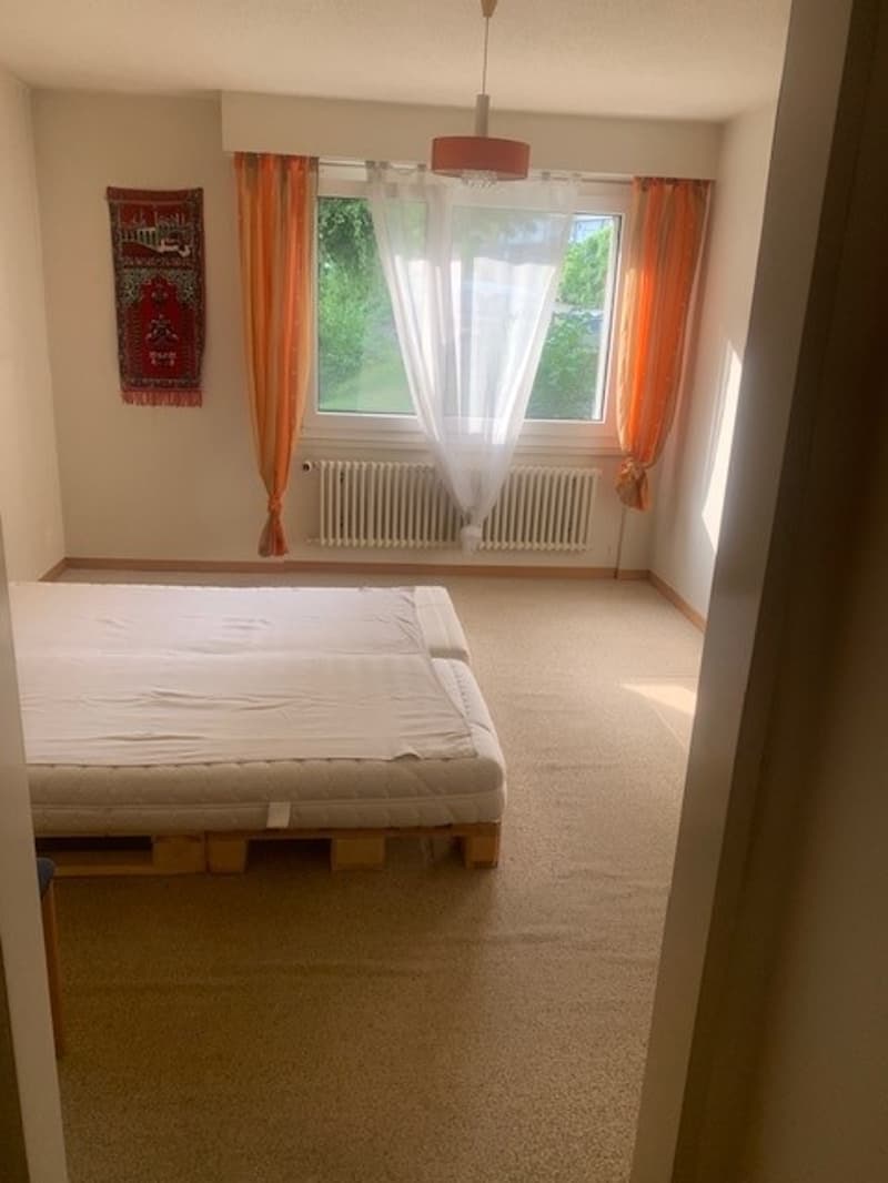 FIXE BESICHTIGUNG 11. AUGUST 2026 ZWISCHEN 19-20 UHR (9)