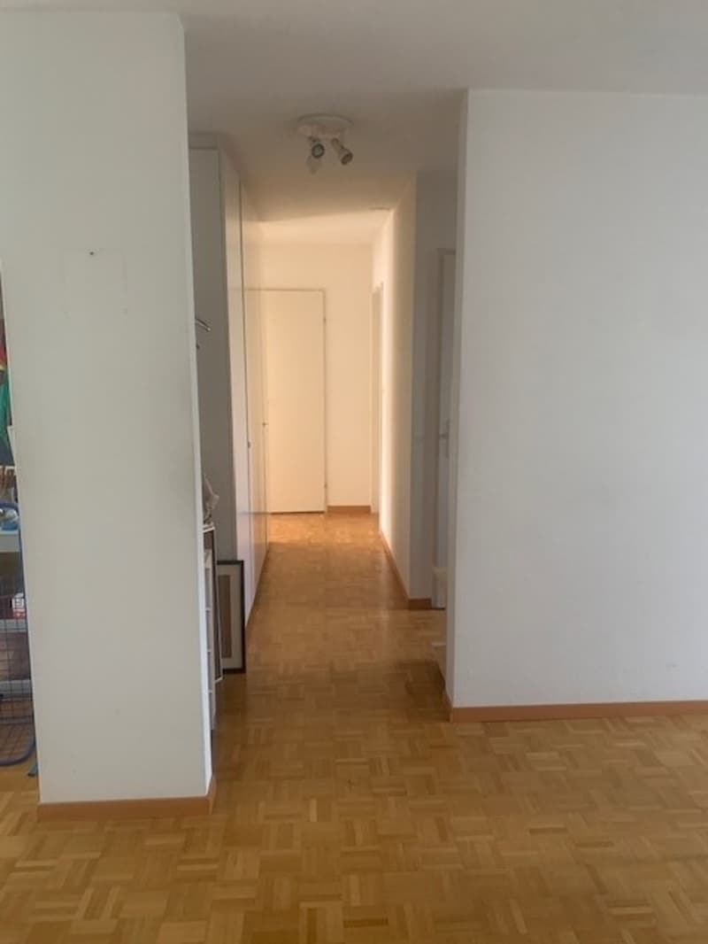 FIXE BESICHTIGUNG 11. AUGUST 2026 ZWISCHEN 19-20 UHR (7)