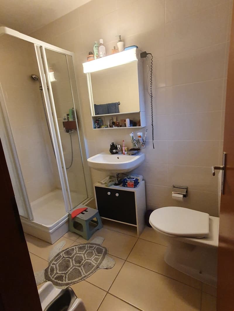 Reprise de bail d'un 3.5 pièces dans un chalet de deux appartements (4)