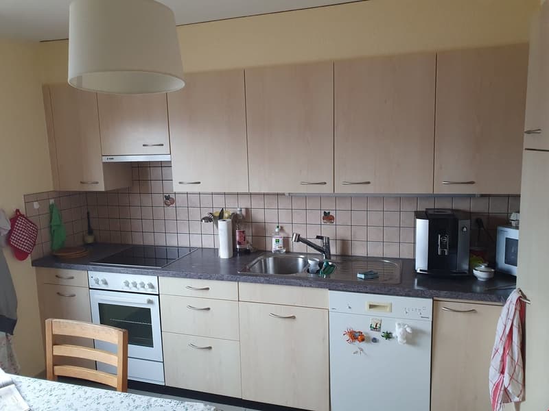 Reprise de bail d'un 3.5 pièces dans un chalet de deux appartements (2)