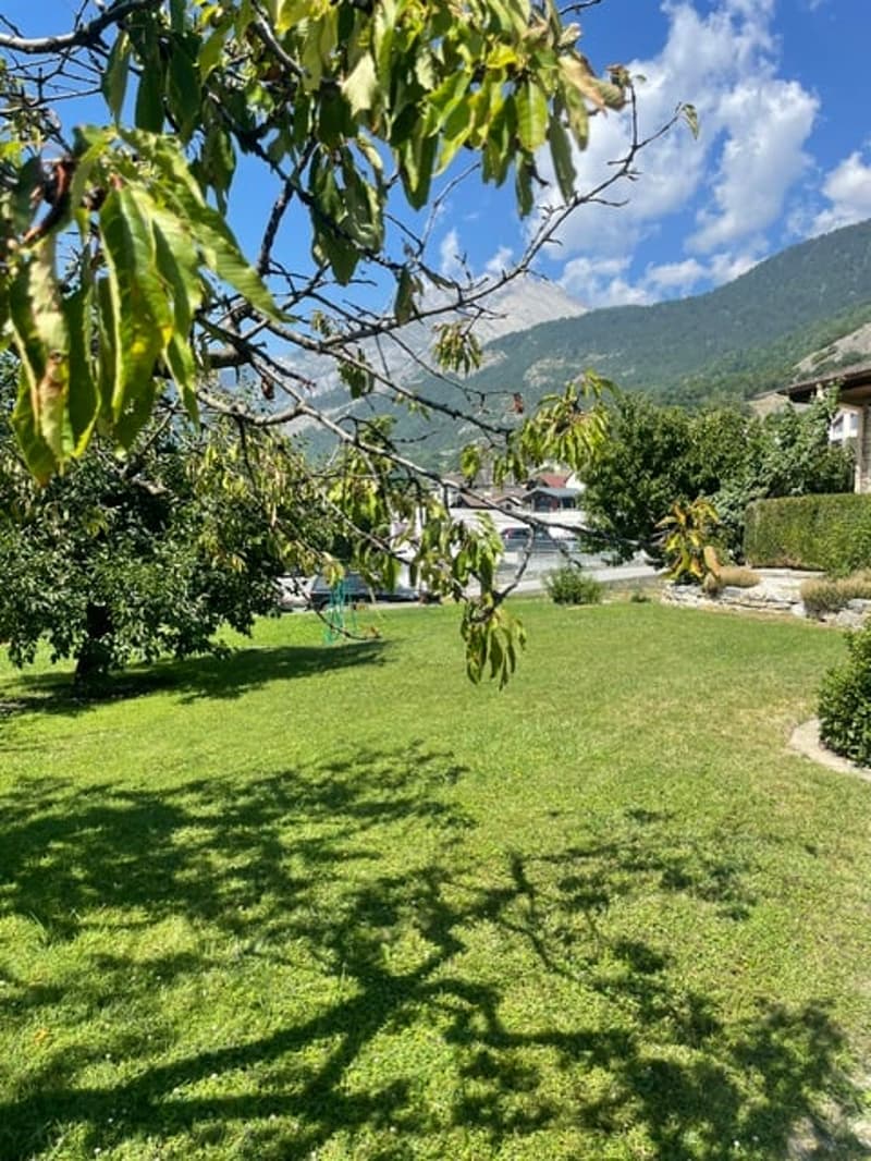 Belle villa individuelle avec terrain et jardin richement arboré (16)