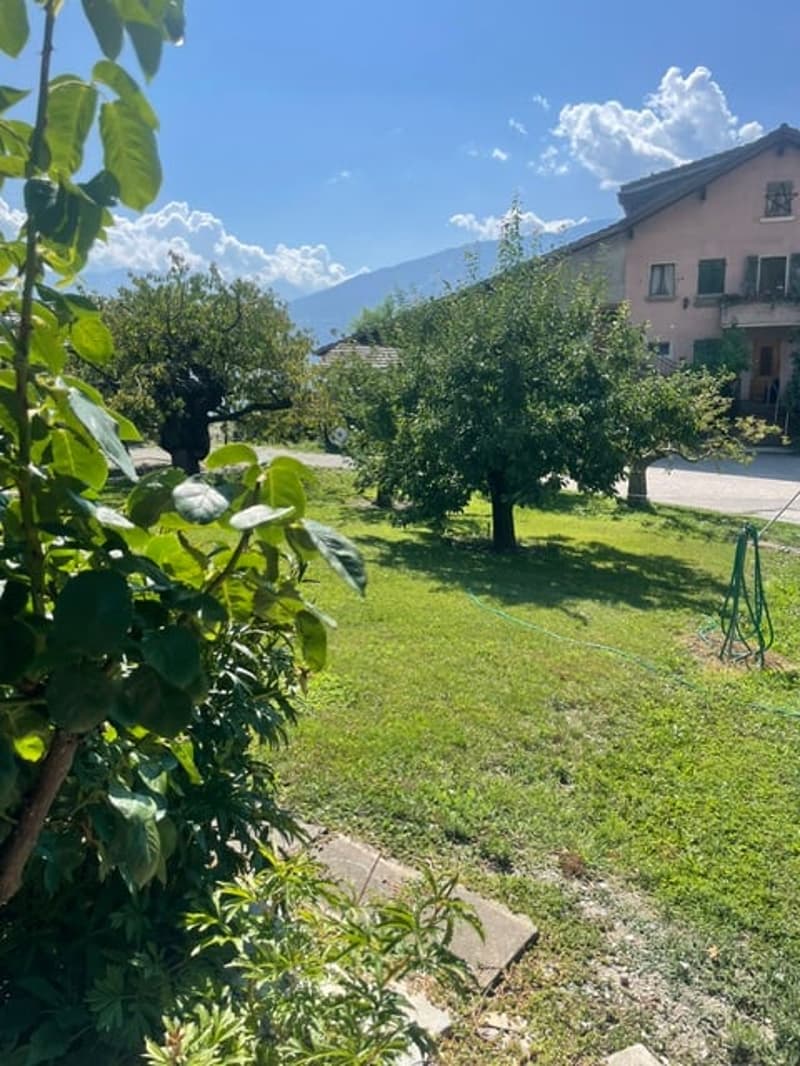 Belle villa individuelle avec terrain et jardin richement arboré (18)
