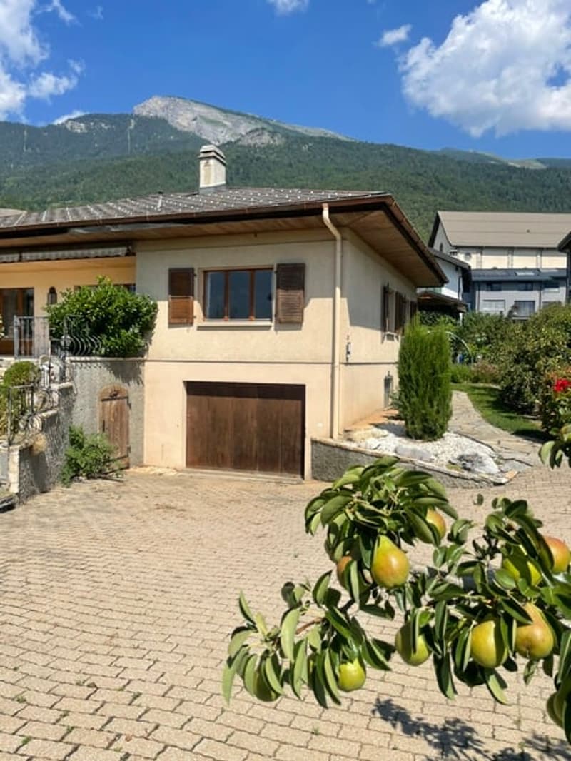 Belle villa individuelle avec terrain et jardin richement arboré (14)