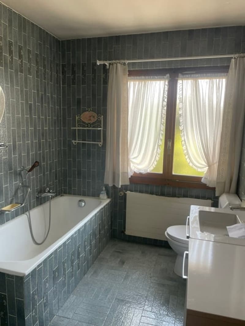 Belle villa individuelle avec terrain et jardin richement arboré (6)