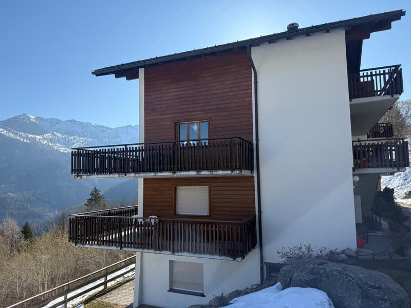 Bel appartement 2 1/2 pièces à vendre dans la station de la Tzoumaz 4 Vallées (9)