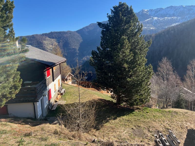 Occasion à saisir a vendre à la Tzoumaz chalet mitoyen de 4 pièces dans quartier calme (13)