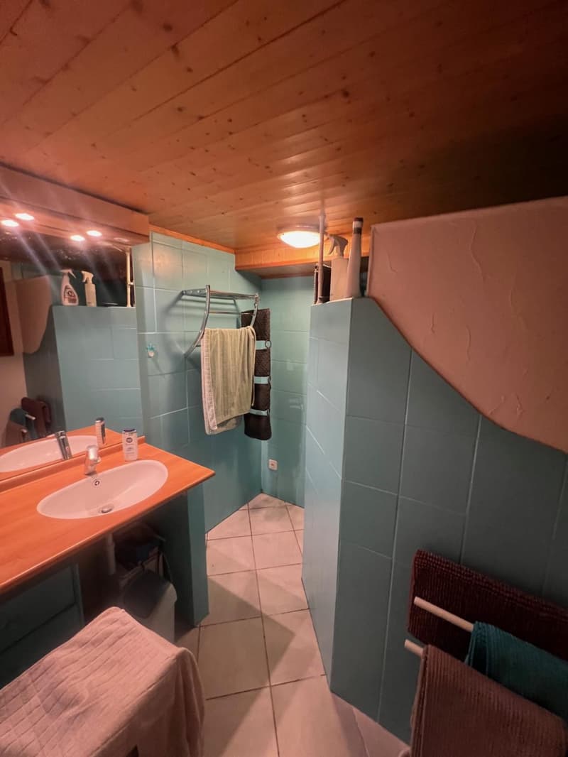 Occasion à saisir a vendre à la Tzoumaz chalet mitoyen de 4 pièces dans quartier calme (7)