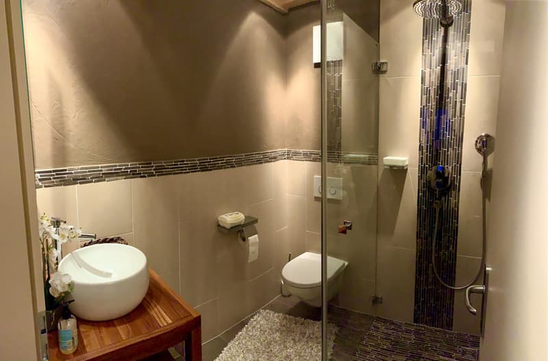 Magnifique attique duplex meublé de standing - 4,5 pièces à Champlan (11)