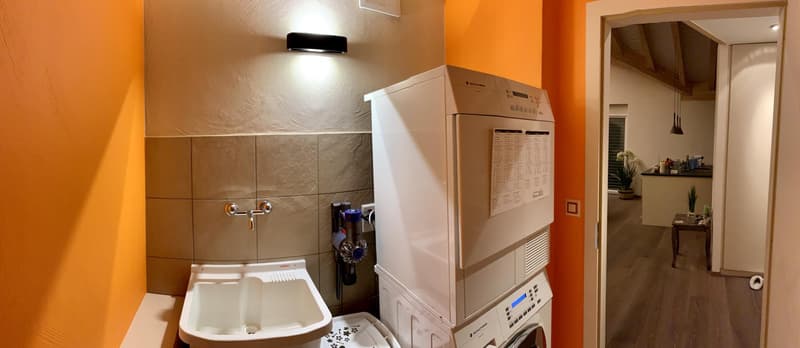 Magnifique attique duplex meublé de standing - 4,5 pièces à Champlan (13)