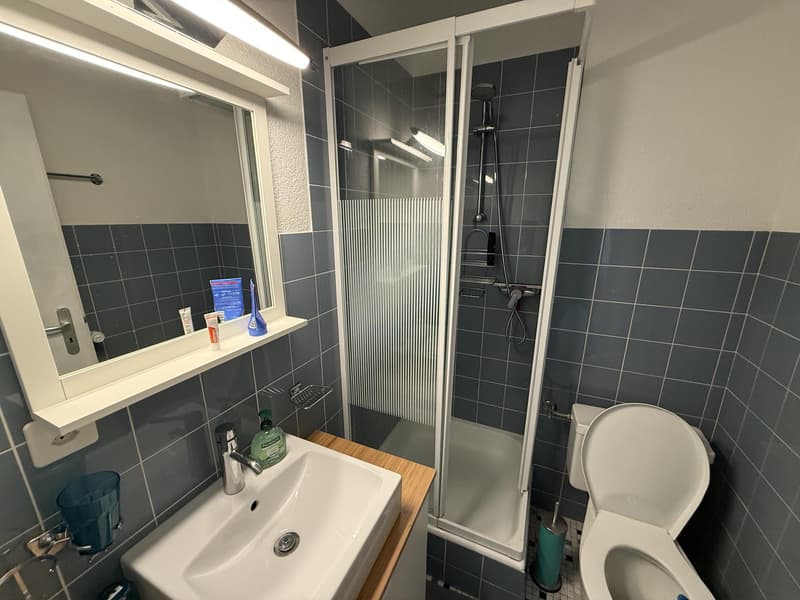 Dans la belle station de la Tzoumaz à vendre appartement 2 1/2 pièces (8)