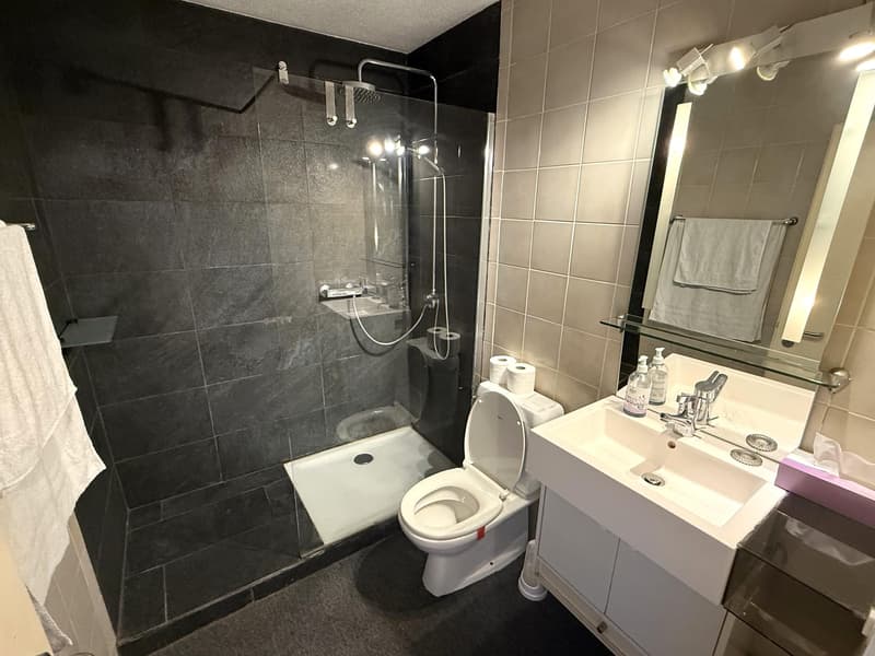 A vendre dans la station de la Tzoumaz studio avec place de parc intérieure (5)