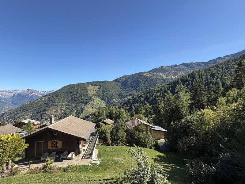 A vendre dans la station de la Tzoumaz studio avec place de parc intérieure (6)