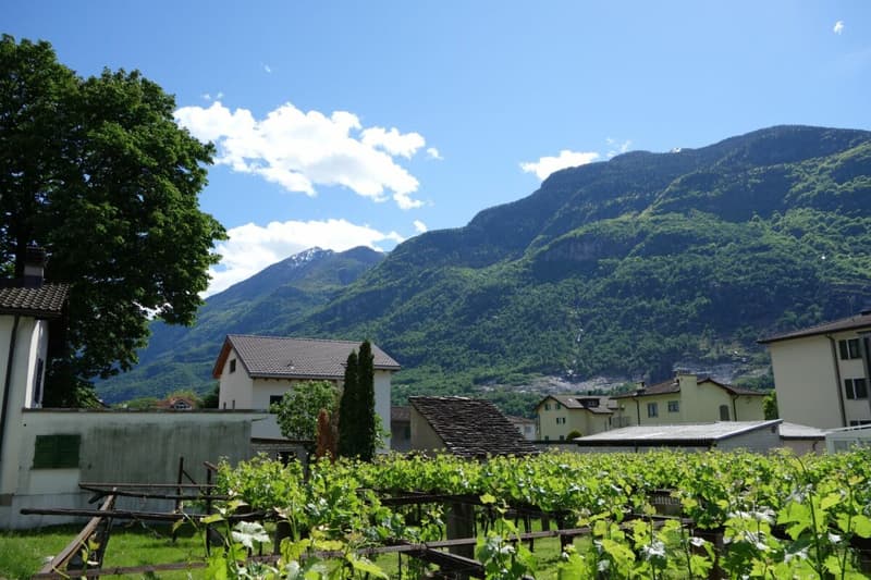 Terreno di 1219 m2 con licenza approvata