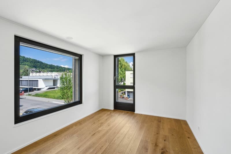 Living with a view of the Berneck vineyards - Emseren development, Au (9)