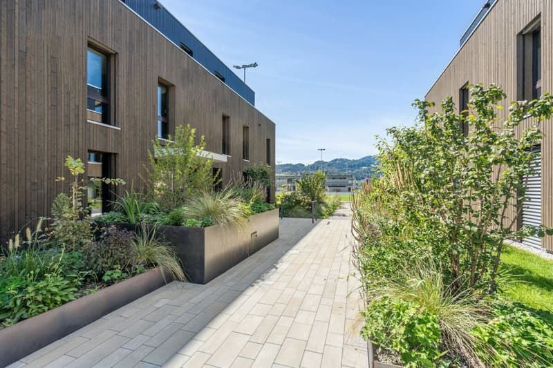 Living with a view of the Berneck vineyards - Emseren development, Au (3)