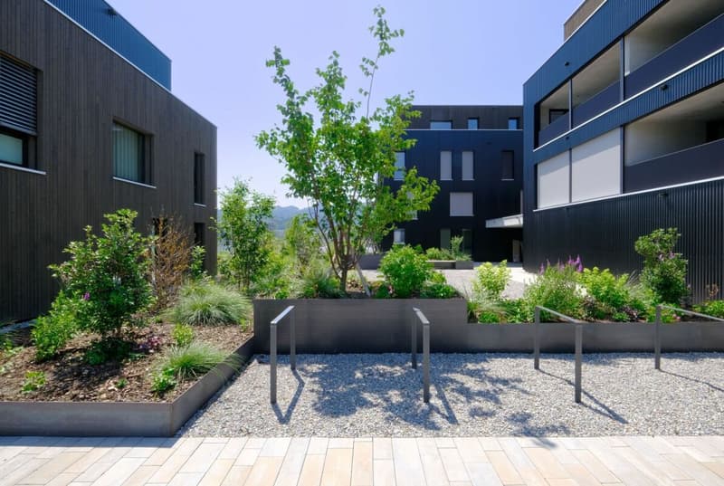 Living with a view of the Berneck vineyards - Emseren development, Au (2)