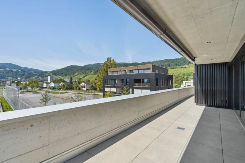Living with a view of the Berneck vineyards - Emseren development, Au (4)
