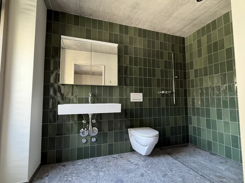 Erstbezug - 4.5 Zimmer-Wohnung - Überbauung Bawangs (10)
