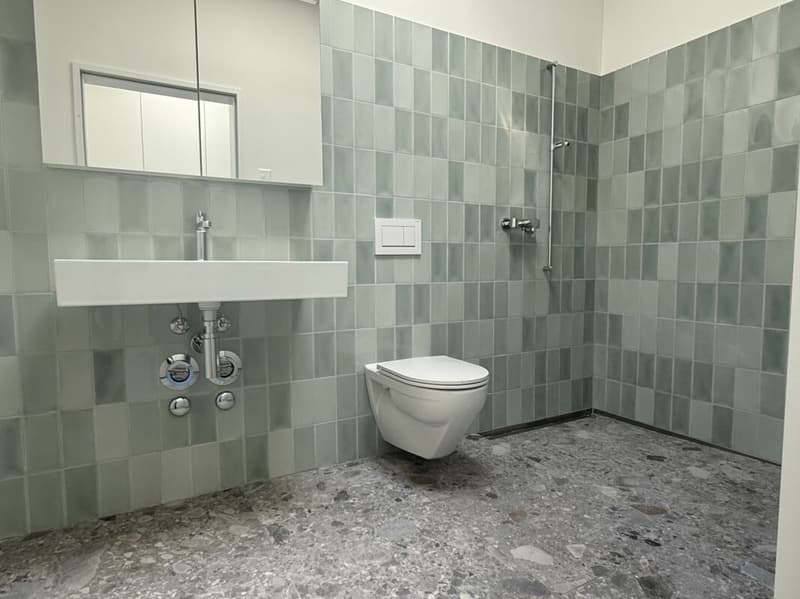 Erstbezug - 4.5 Zimmer-Wohnung - Überbauung Bawangs (9)