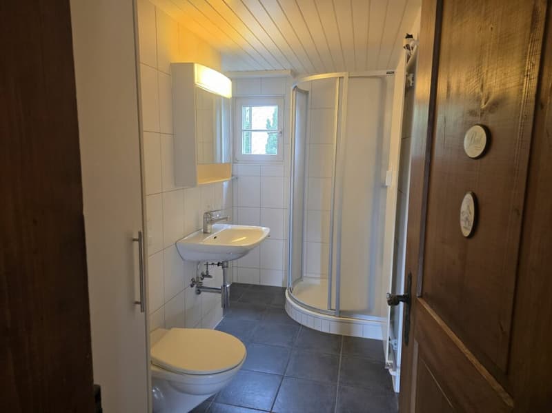 Charmante 4 Zimmer Altbauwohnung zu vermieten (3)