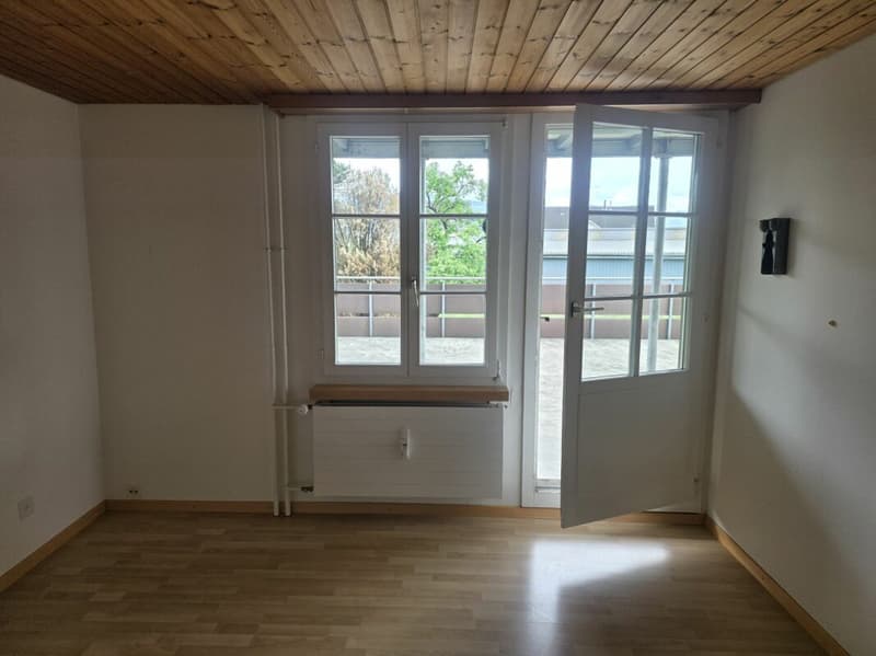 Charmante 4 Zimmer Altbauwohnung zu vermieten (4)