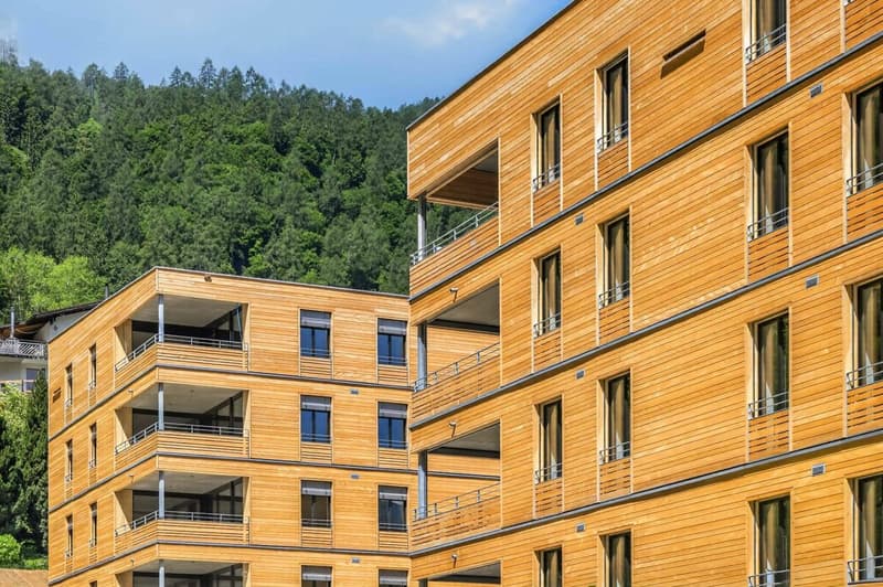 Erstbezug - 4.5 Zimmer-Wohnung - Überbauung Bawangs (12)