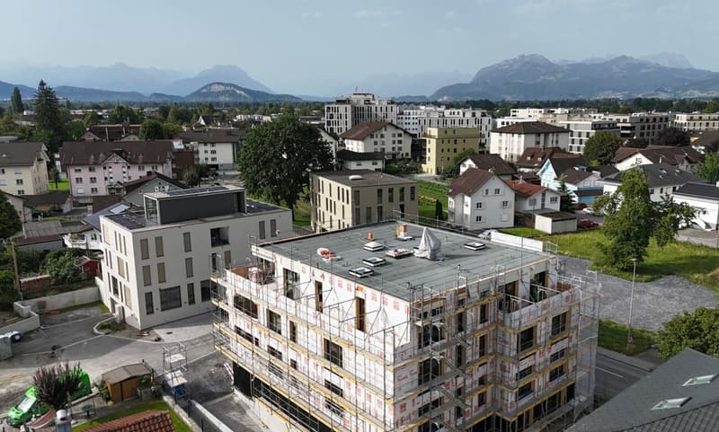 Nachhaltig und ökologisch wohnen - Unterdorfstrasse, Widnau (3)