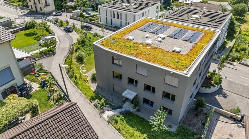 Residenza Alla Rocca - App. 1 Piano terra - 3.5 locali (11)