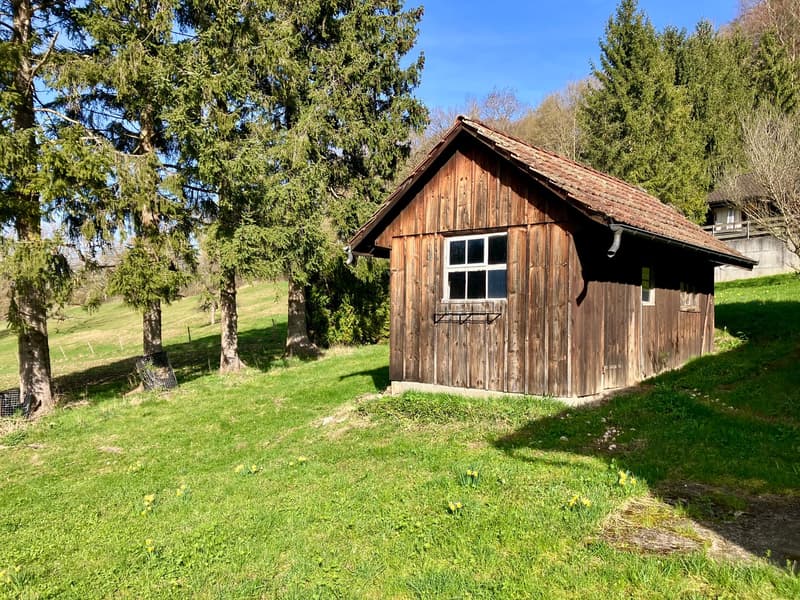 Small wooden house, red roof, window, surrounded by trees, grassy field