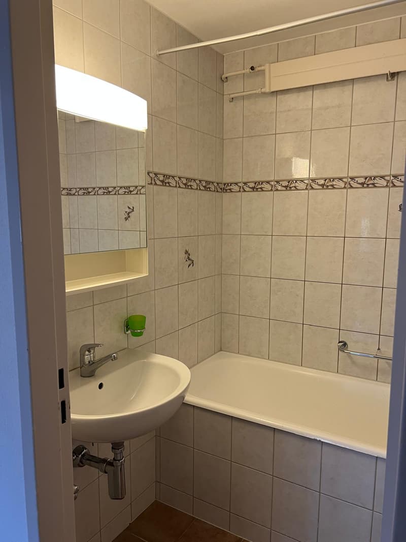 Appartement lumineux de 4.5 pièces avec vue à La Neuveville (7)