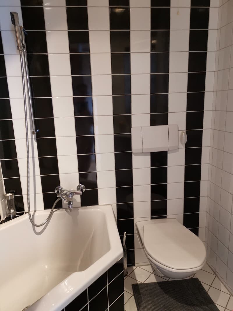 3-1/2 Zimmerwohnung mit Galerie (4)
