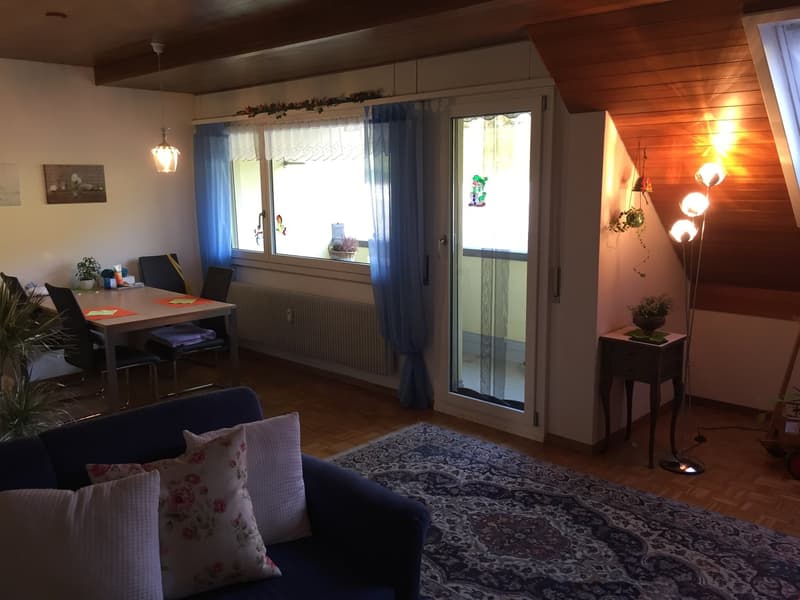 Originelle 2,5 Zimmer-Dachwohnung (6)