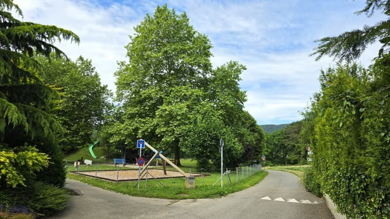 Grosszügigies Einfamilienhaus mit grossem Garten und Weitblick (20)
