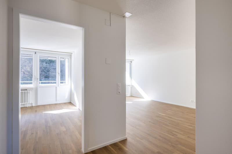 empty room, wooden floor, white walls, windows, radiator