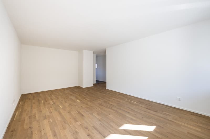 empty room, wooden floor, white walls, power outlet