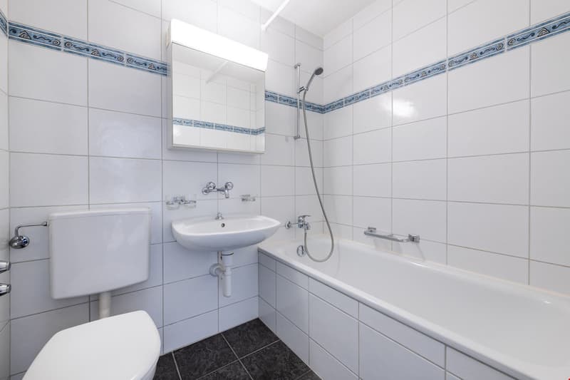 3 - Zimmerwohnung mit Aussicht (8)