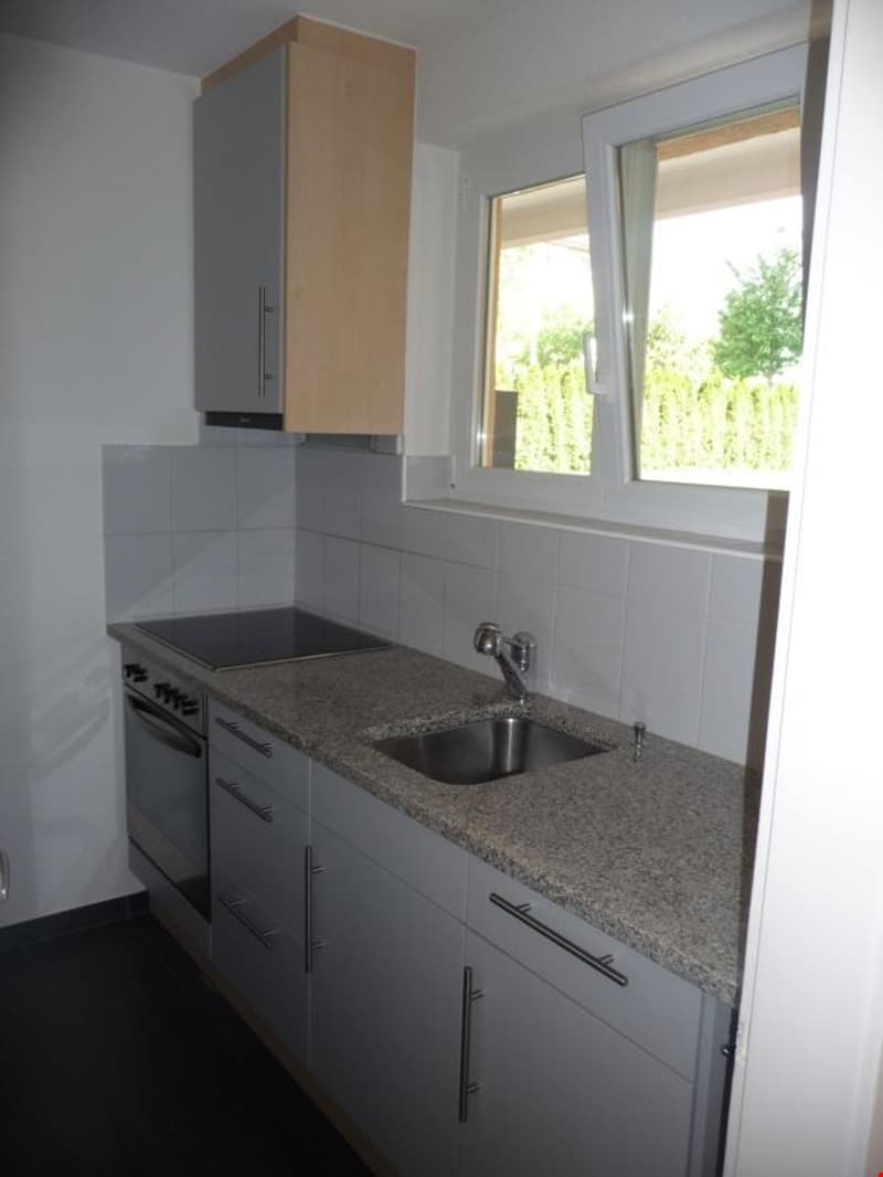 3 Zimmerwohnung mit Sitzplatz (3)